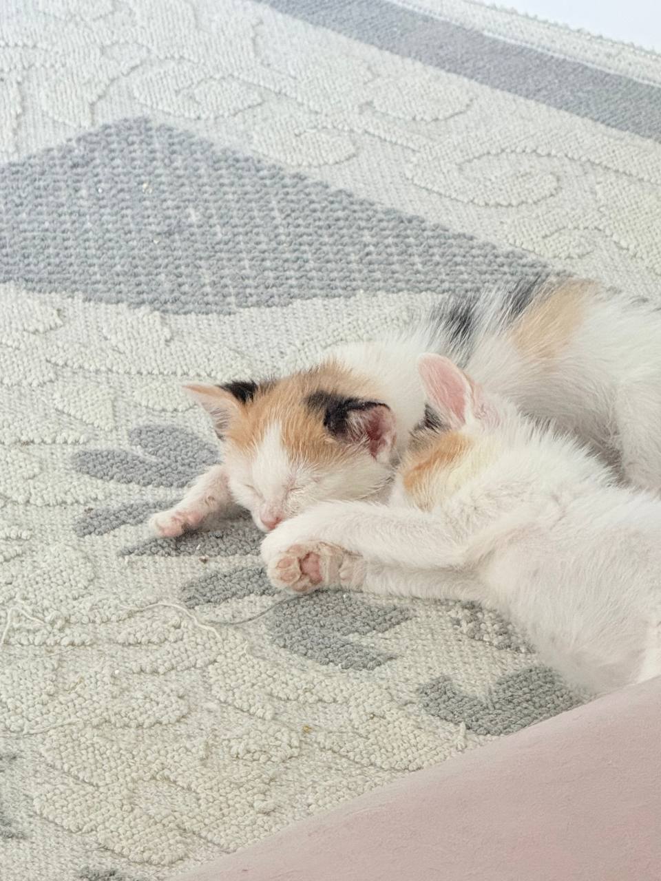 Мандалорка